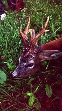 20130612 212154 LLS splet