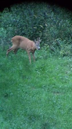 20130911 190328 LLS splet